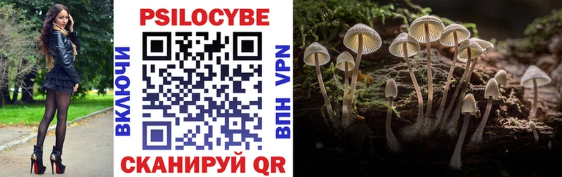 Галлюциногенные грибы Psilocybe  Верещагино 
